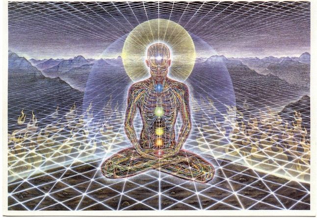 Alex Grey the Chakras